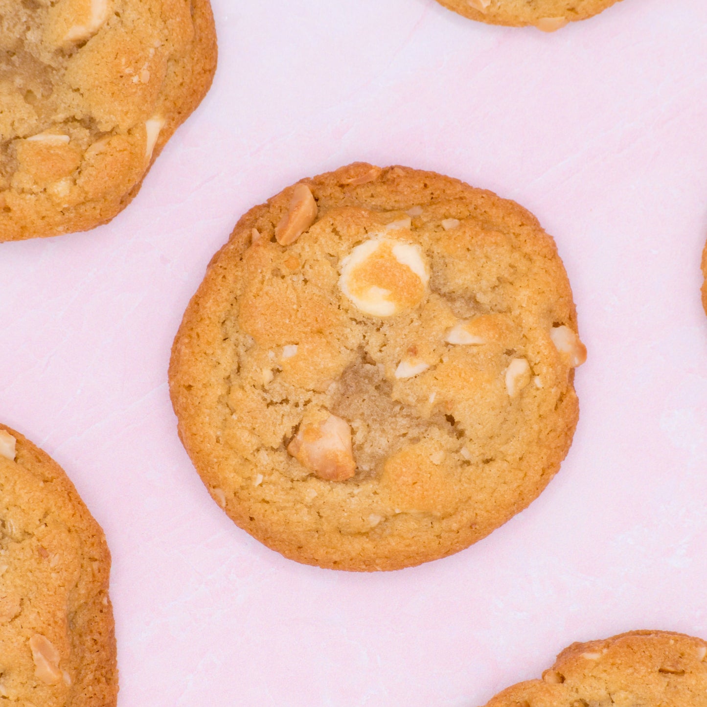 White Chocolate Macadamia Nut