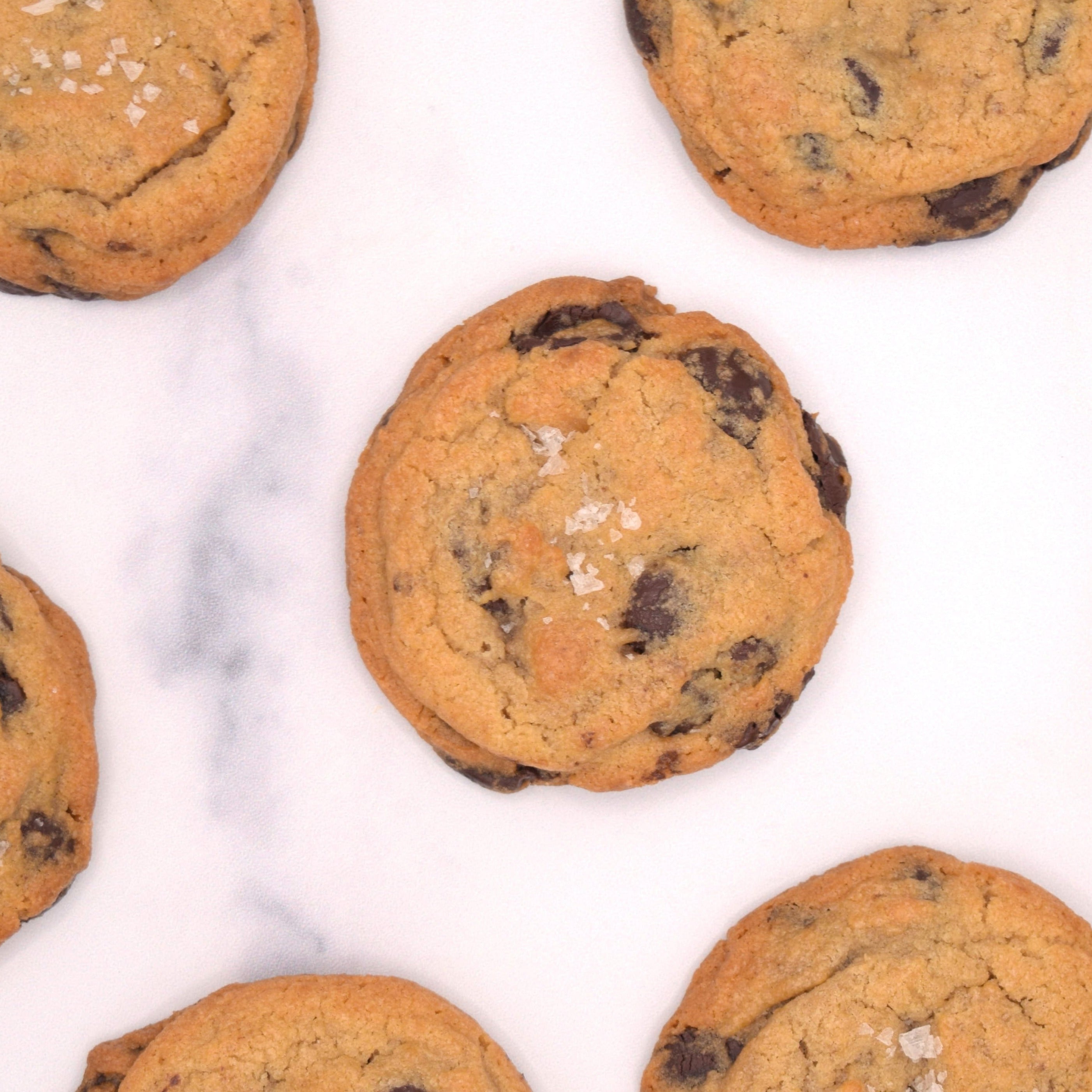 Chocolate Chip (GF)