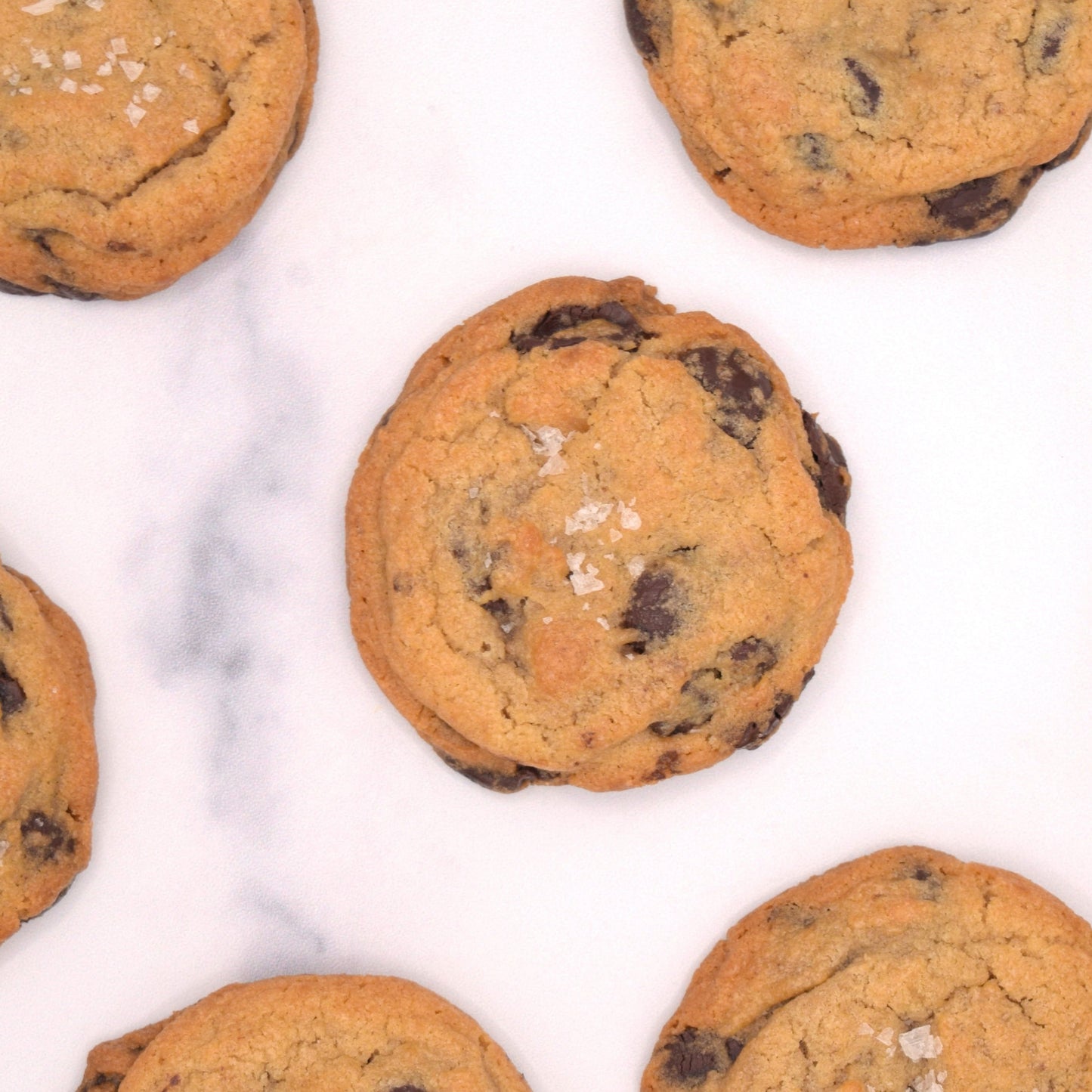 Chocolate Chip (GF)