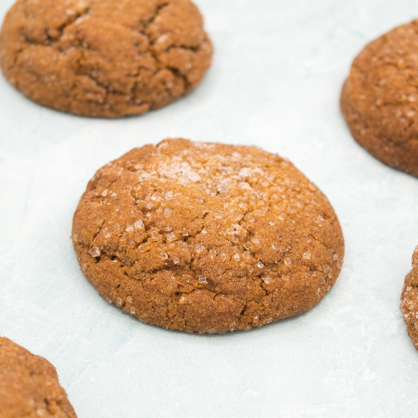 Ginger Molasses